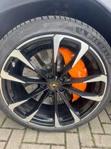 Lamborghini Urus - Lamborghini Gebrauchtwagen in Dortmund