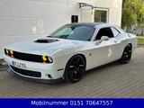 Dodge Challenger 6.4 V8 SRT SCAT PACK SHAKER AUTOMATIK - Dodge Challenger: V6