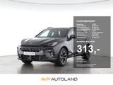Cupra Terramar 1.5 eTSI DSG - graue Cupra Terramar