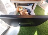 Renault Trafic - Camper Van (Jahresend-Angebot) - : Angebot