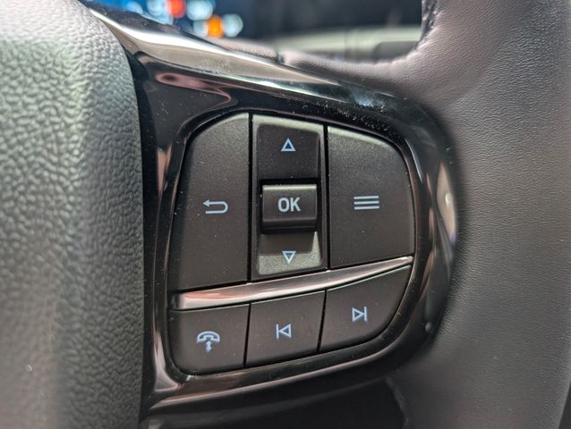 Ford Tourneo Custom L2 Tourneo Titanium 9-Sitzer