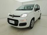 Fiat Panda Pop BR661048 1.2 Benzina 69CV - Fiat Panda mit Panoramadach