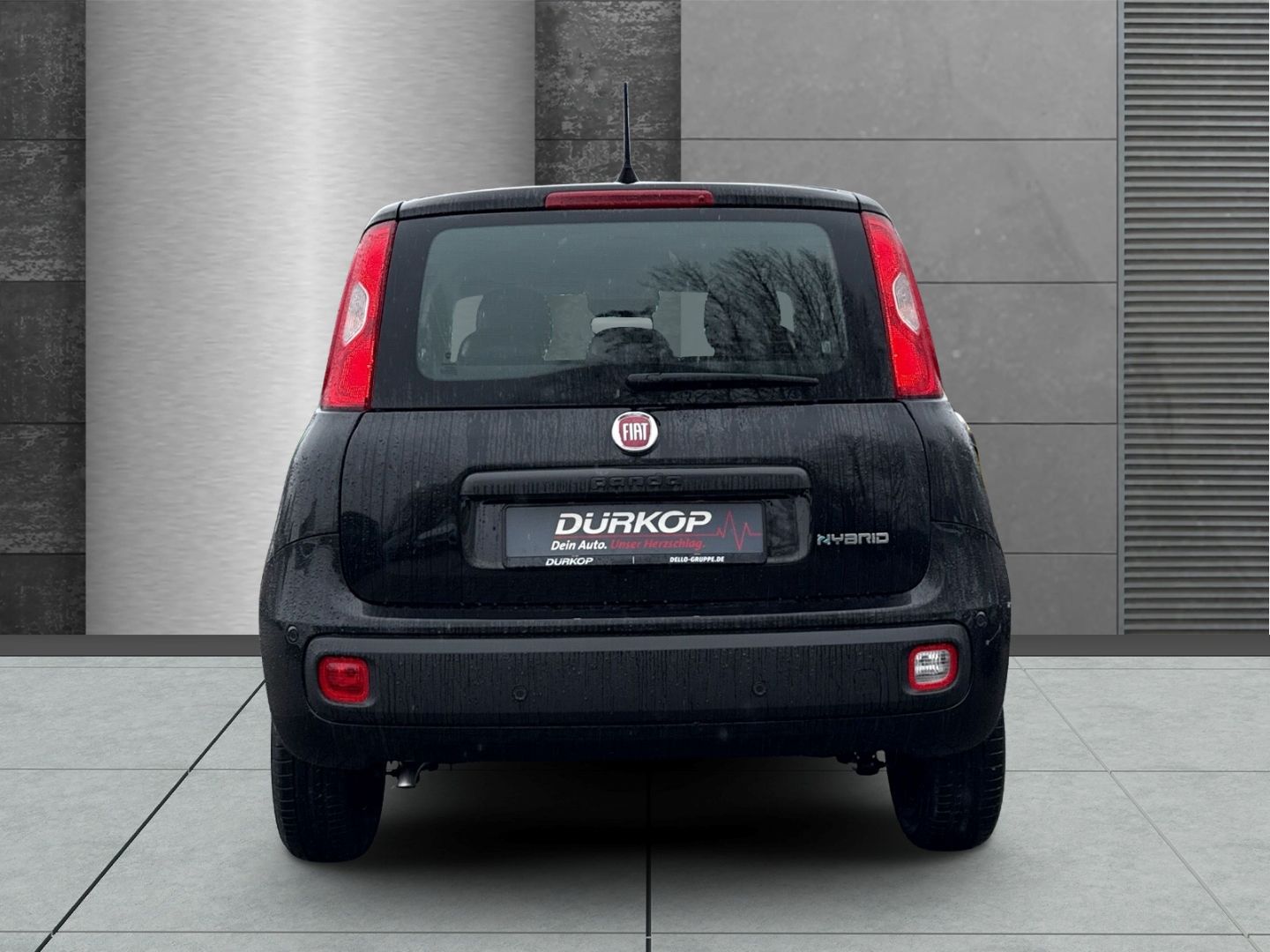 Fiat Panda - Bild 6