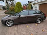 Audi A4 3.0 TDI (DPF) S tr. quat. Ambition Avant ... - Audi A4: Braun, Leder