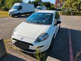 Fiat Punto Evo Twinair - weiße Fiat Punto Evo