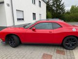 Dodge Challenger - Dodge Challenger aus 2018