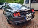 Ford Mustang 2.3 Coupe Aut-+Keyless+Kamera+Bi-Xenon+ - Ford Mustang