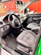 Volkswagen Caddy Fan 1.9 TDI 77kW Fan - Volkswagen Caddy: Fan