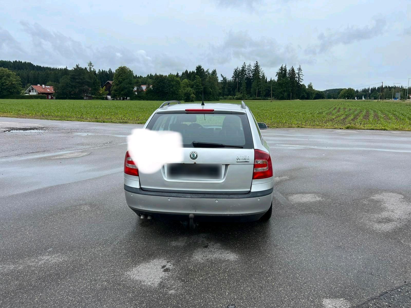 Skoda Octavia 2006 — rear view