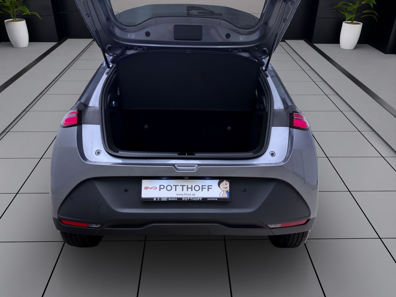 BYD DOLPHIN
