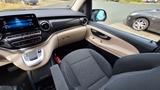 Mercedes-Benz Marco Polo Edition C220d Allrad und Service "B" - Offers