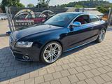Audi S5 4.2 FSI tiptronic quattro - Audi S5 mit Benzin-Antrieb: Leder, Sportwagen, 4.2