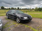 Volkswagen VW Bora 1.6 16V TÜV bis 12/26 - Volkswagen Bora aus 2004