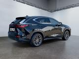 Lexus NX 350h Executive Line *Bi-LED*360°*ACC*el Heck* - Lexus NX 350h SUV
