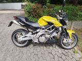 Aprilia Shiver 750 ABS - Angebote