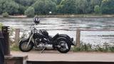 Yamaha XVS 1100 Dragstar - Offers matching your search criteria