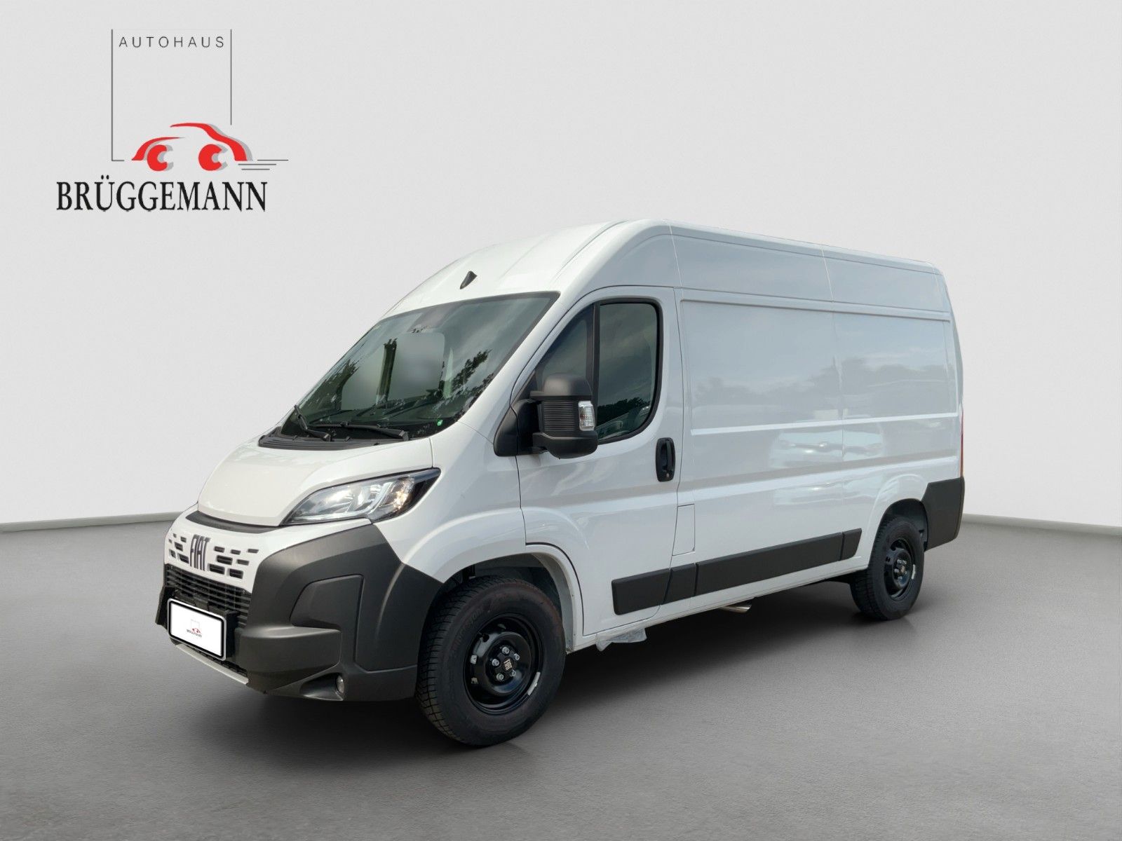 Fahrzeugabbildung Fiat Ducato L2H2 180 MJ Kamera Navi Schwingsitz