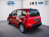 Fiat Pandina Icon MY26, Klimaanlage, Tempomat, PDC - Fiat Panda Neuwagen
