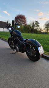 Harley-Davidson Sportster 883 / 1200 - HARLEY-DAVIDSON 883