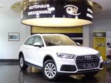 Audi Q5 40 TDI Quattro Virtual Navi Leder Cam Stdhzg - Audi Q5 in Duisburg