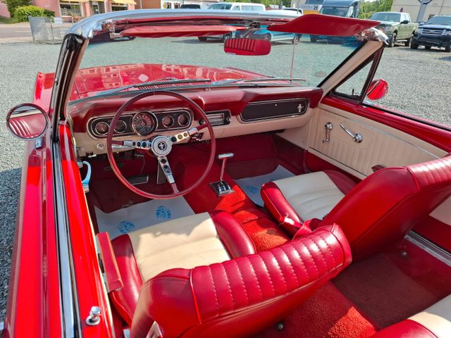 Ford Mustang Cabrio *Leder*Elektr. Verdeck*