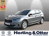 Skoda Fabia Apple CarPlay LED Klima PDC Multif.Lenkrad
