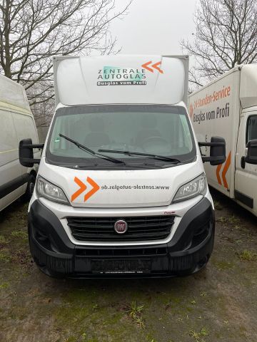 Fiat Ducato Kofferaufbau