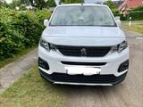 Peugeot Rifter PureTech 130 EAT8 Allure L1 Allure - Peugeot Rifter von privat