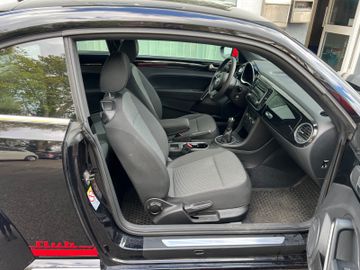Volkswagen Beetle - 8