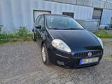 Fiat Punto 1.4 Benzin - Fiat Punto in Kiel