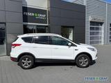 Ford Kuga 1.5 EcoBoost Trend KLIMA/SHZ/PDC - Ford Kuga: Trend