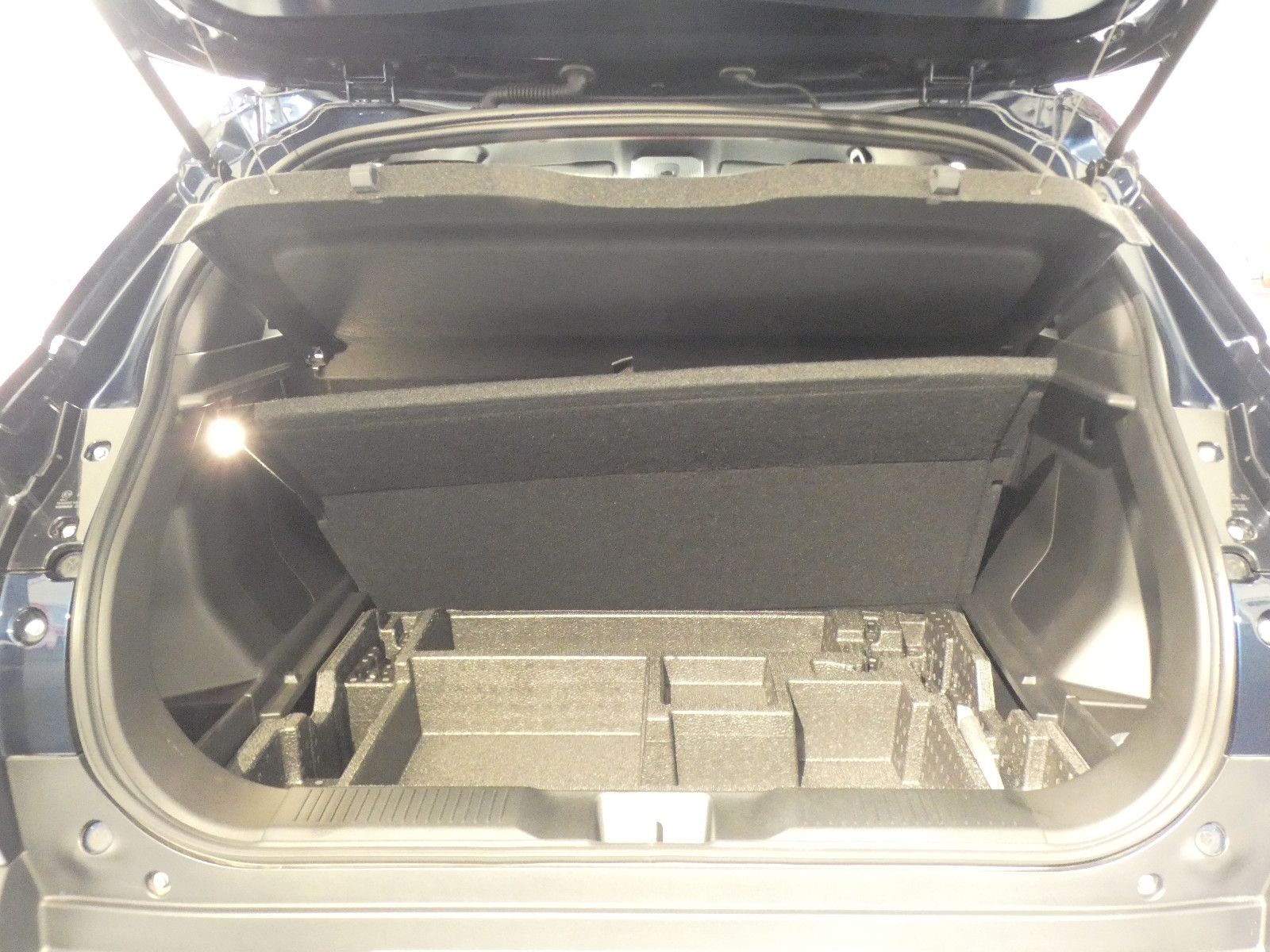 Suzuki e Vitara - Bild 13