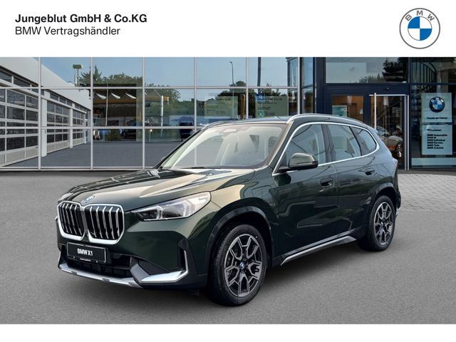 BMW X1 25e xLine AHK/Park-Assist/Fernl.Assist/LiveCo