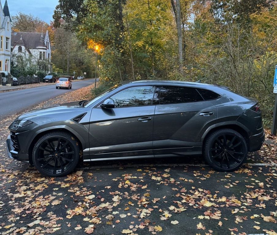 Image of Other Other