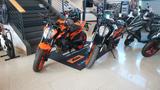KTM 890 Duke GP  **sofort verfügbar** - KTM 890 DUKE