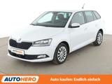 Skoda Fabia 1.0 TSI Ambition Aut.*TEMPO*PDC*SHZ* - Skoda Fabia: Ambition