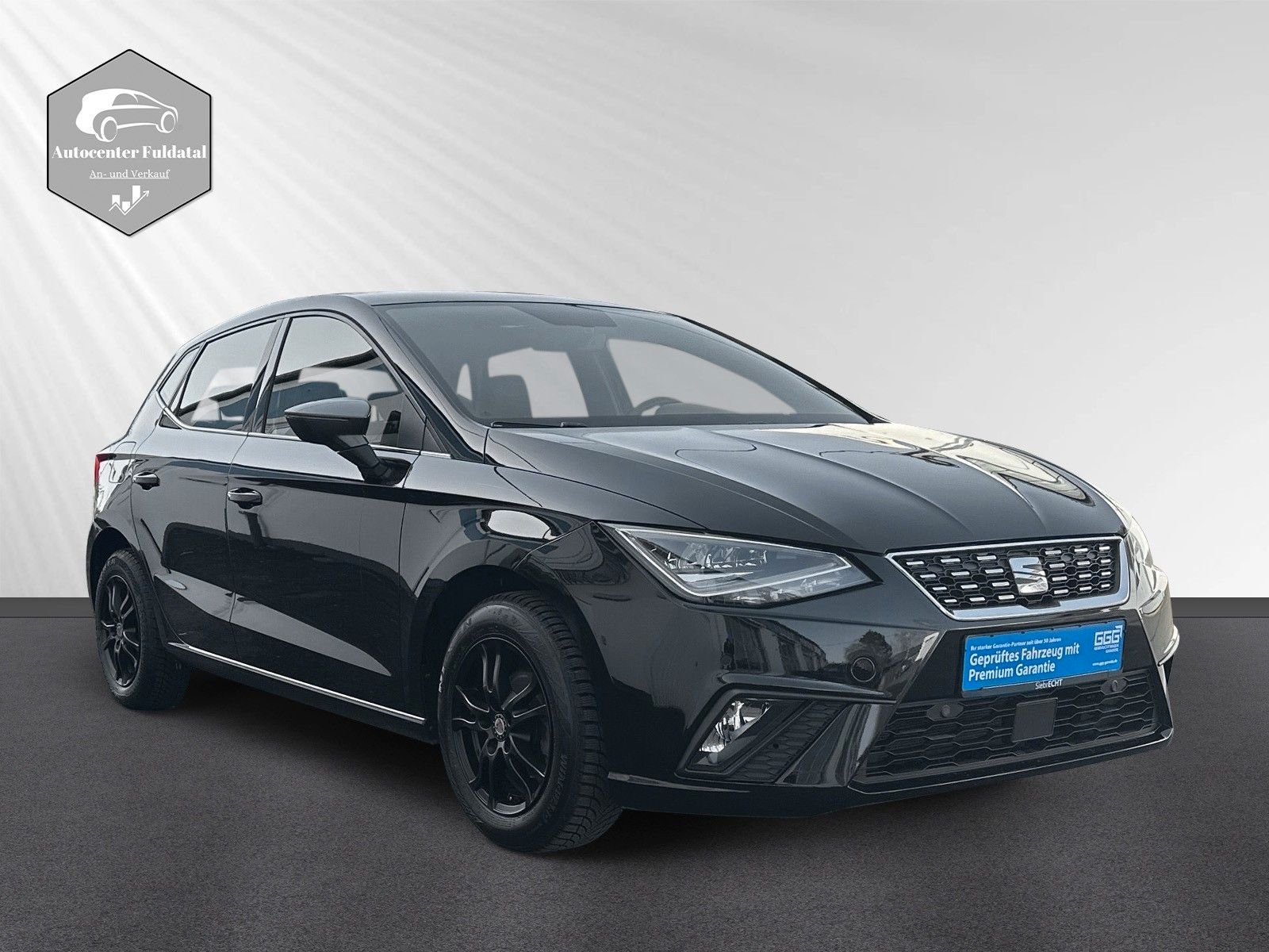 SEAT Ibiza Xcellence I Navi I Klima I SHZ I Kamera