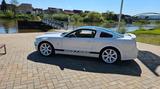 Ford GT Ford Mustang 4.6 V8 USA US Car - Ford aus 2005: Coupe