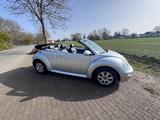 Volkswagen Beetle Cabriolet - Volkswagen Beetle aus 2004: Cabrio