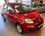Fiat Panda Lounge-Automatik-Panorama-Klima-Garantie - Fiat Panda: Rot