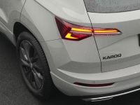 Skoda Karoq - Vorschau Bild 19