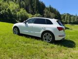 Audi SQ5 TDI quattro - neue Reifen, top Zustand - gebrauchte Audi SQ5 aus dem Jahr 2024