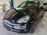 Porsche Cayenne Diesel PLATIN*BI-XN*BOS*ACC*MMRY*PCM*RFK - Porsche Cayenne Gebrauchtwagen in Köln