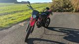 Malaguti XTM 125  - MALAGUTI MOTORRAD