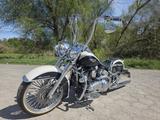 Harley-Davidson Softail Deluxe Chicano TC103 mexican Mcj Ape  - HARLEY-DAVIDSON SOFTAIL
