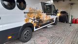 Malibu VAN Charming  640 / Solar / BUS-Biker / AHK - Offers