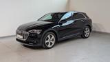 Audi e-tron 50 quattro advanced NAV*LED*LANE*KAM*AIR