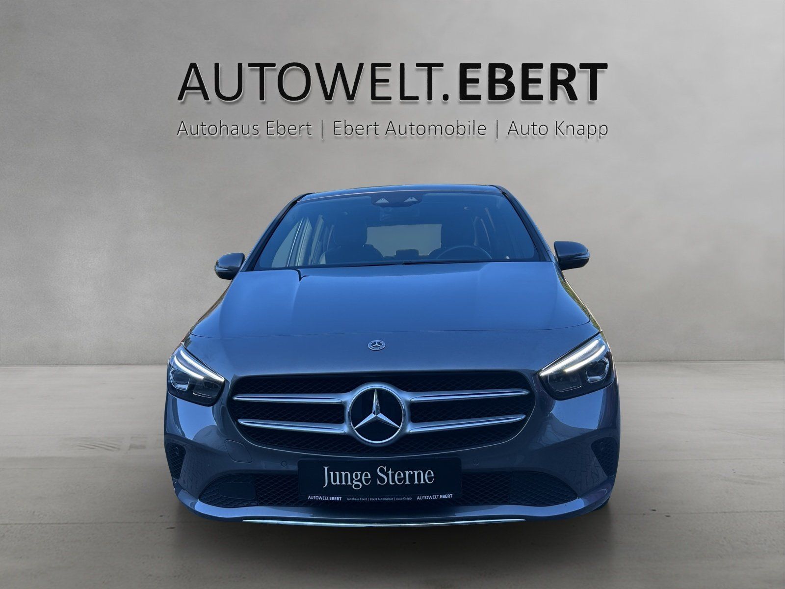 Fahrzeugabbildung Mercedes-Benz B 250 e Progr. AHK PAno LED HighEndMBUX Business