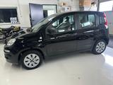 Fiat Panda Pop Klima  1 Hand - gebrauchte Fiat Panda aus dem Jahr 2015