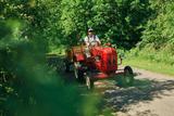 Porsche 108 junior - Porsche Schlepper